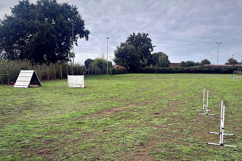 Il campo attrezzato di Good Dog Lab con ostacoli e salti